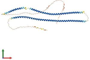 AlphaFold protein structure predicition of Mouse Recombinant Krt35 Protein, UniprotID Q497I4