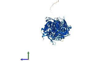 AlphaFold protein structure predicition of Human Recombinant HK3 Protein, UniprotID P52790