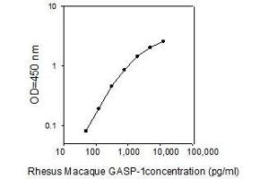 ELISA image for G Protein-Coupled Receptor Associated Sorting Protein 1 (GPRASP1) ELISA Kit (ABIN2748132)