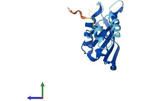 AlphaFold protein structure predicition of Mouse Recombinant Rps24 Protein, UniprotID P62849