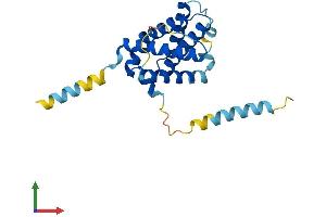 AlphaFold protein structure predicition of Mouse Recombinant Bok Protein, UniprotID O35425