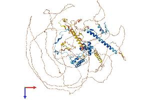AlphaFold protein structure predicition of Human Recombinant TRERF1 Protein, UniprotID Q96PN7