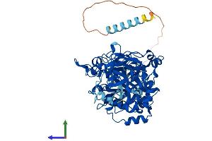 AlphaFold protein structure predicition of Mouse Recombinant Galnt2 Protein, UniprotID Q6PB93