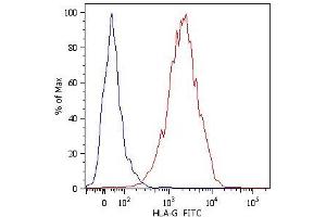 Surface staining of JEG-3 human choriocarcinoma cell line with anti-human HLA-G (MEM-G/11) FITC. (HLAG anticorps  (FITC))