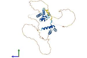 AlphaFold protein structure predicition of Mouse Recombinant Pou3f4 Protein, UniprotID P62515