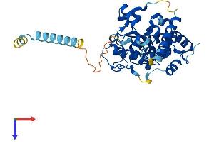 AlphaFold protein structure predicition of Mouse Recombinant Chst11 Protein, UniprotID Q9JME2