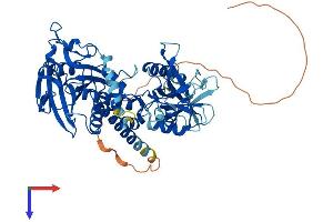 AlphaFold protein structure predicition of Human Recombinant PTPN6 Protein, UniprotID P29350