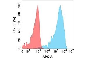 Flow cytometry analysis with Anti-CA (DM165) on Expi293 cells transfected with human CA (Blue histogram) or Expi293 transfected with irrelevant protein (Red histogram).