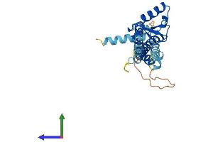 AlphaFold protein structure predicition of Mouse Recombinant Nsmce2 Protein, UniprotID Q91VT1