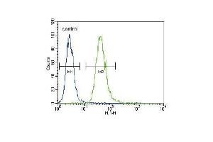 TNFR- Antibody (ABIN655093 and ABIN2844728) flow cytometric analysis of A549 cells (right histogram) compared to a negative control cell (left histogram). (TNFR-S274 (AA 252-281) anticorps)