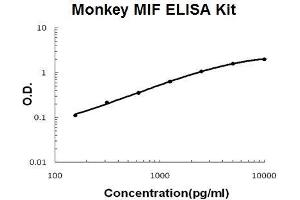 Monkey Primate MIF PicoKine ELISA Kit standard curve (MIF Kit ELISA)