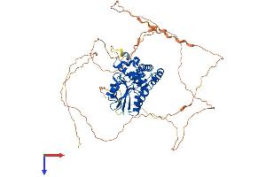 AlphaFold protein structure predicition of Human Recombinant EYA1 Protein, UniprotID Q99502