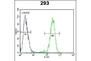Flow cytometric analysis of 293 cells (right histogram) compared to a negative control cell (left histogram). (alpha-Mannosidase II anticorps  (AA 456-482))