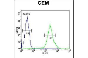 Flow cytometric analysis of CEM cells (right histogram) compared to a negative control cell (left histogram).