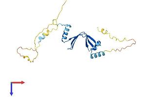 AlphaFold protein structure predicition of Human Recombinant BTF3 Protein, UniprotID P20290
