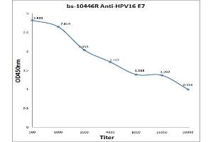 Antigen: 0. (HPV16 E7 anticorps  (Middle Region))