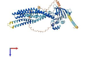 AlphaFold protein structure predicition of Mouse Recombinant Abcb7 Protein, UniprotID Q61102