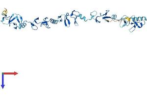 AlphaFold protein structure predicition of Human Recombinant LIMS2 Protein, UniprotID Q7Z4I7