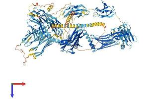AlphaFold protein structure predicition of Human Recombinant MYOM2 Protein, UniprotID P54296