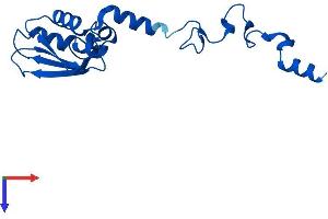AlphaFold protein structure predicition of Mouse Recombinant Mrps25 Protein, UniprotID Q9D125