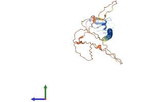 AlphaFold protein structure predicition of Human Recombinant RNF212 Protein, UniprotID Q495C1