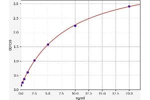 Typical standard curve (COL4A1 Kit ELISA)