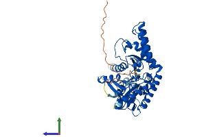 AlphaFold protein structure predicition of Human Recombinant SCLY Protein, UniprotID Q96I15