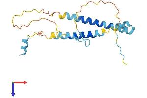 AlphaFold protein structure predicition of Human Recombinant ITGB3BP Protein, UniprotID Q13352