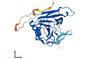 AlphaFold protein structure predicition of Mouse Recombinant Alkbh2 Protein, UniprotID Q6P6J4