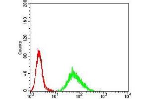 Flow cytometric analysis of Hela cells using CIDEC mouse mAb (green) and negative control (red).