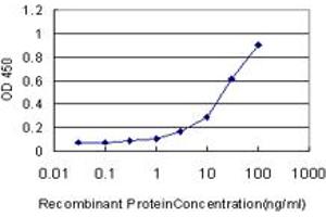 Detection limit for recombinant GST tagged BBOX1 is approximately 1ng/ml as a capture antibody.