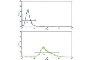 Flow cytometric analysis of MDA-MB468 cells using WNT4 antibody (green) compared to a 