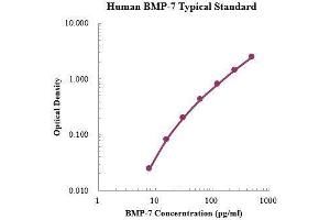 ELISA image for Bone Morphogenetic Protein 7 (BMP7) ELISA Kit (ABIN3198506)