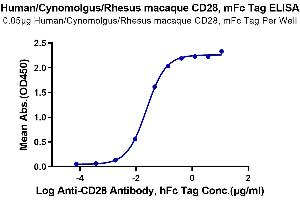 Immobilized Human/Cynomolgus/Rhesus macaque CD28, mFc Tag at 0. (CD28 Protein (CD28) (AA 19-152) (mFc Tag))