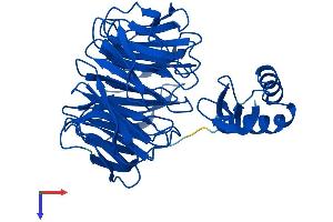 AlphaFold protein structure predicition of Human Recombinant DAW1 Protein, UniprotID Q8N136