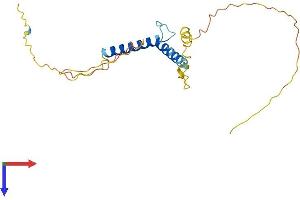 AlphaFold protein structure predicition of Human Recombinant TCF23 Protein, UniprotID Q7RTU1