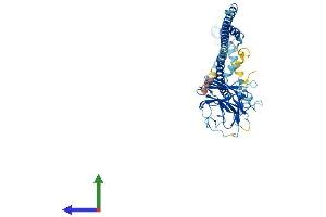 AlphaFold protein structure predicition of Mouse Recombinant Trim39 Protein, UniprotID Q9ESN2
