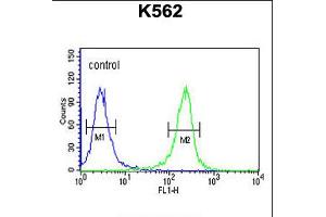 Flow cytometric analysis of K562 cells (right histogram) compared to a negative control cell (left histogram). (FAN1 anticorps  (N-Term))