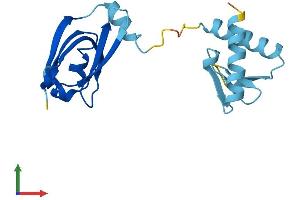 AlphaFold protein structure predicition of Human Recombinant GEMIN6 Protein, UniprotID Q8WXD5