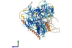 AlphaFold protein structure predicition of Mouse Recombinant Nlrp1b Protein, UniprotID A1Z198