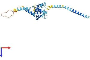 AlphaFold protein structure predicition of Human Recombinant EFHD1 Protein, UniprotID Q9BUP0