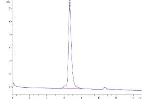 The purity of Human FGF21 is greater than 95 % as determined by SEC-HPLC.