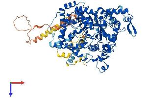 AlphaFold protein structure predicition of Human Recombinant AMPD3 Protein, UniprotID Q01432