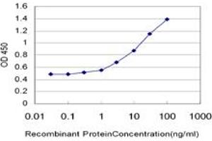 Detection limit for recombinant GST tagged HERC4 is approximately 0.