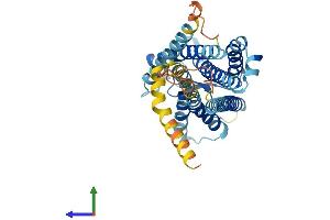 AlphaFold protein structure predicition of Human Recombinant PTGDR Protein, UniprotID Q13258