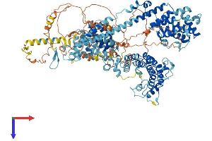 AlphaFold protein structure predicition of Human Recombinant TTC17 Protein, UniprotID Q96AE7