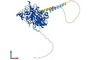 AlphaFold protein structure predicition of Human Recombinant ACTR8 Protein, UniprotID Q9H981