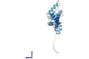 AlphaFold protein structure predicition of Human Recombinant TMEM11 Protein, UniprotID P17152