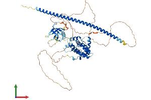 AlphaFold protein structure predicition of Mouse Recombinant Arhgap25 Protein, UniprotID Q8BYW1
