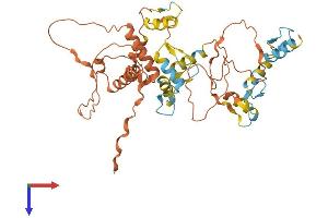 AlphaFold protein structure predicition of Human Recombinant ZNF597 Protein, UniprotID Q96LX8